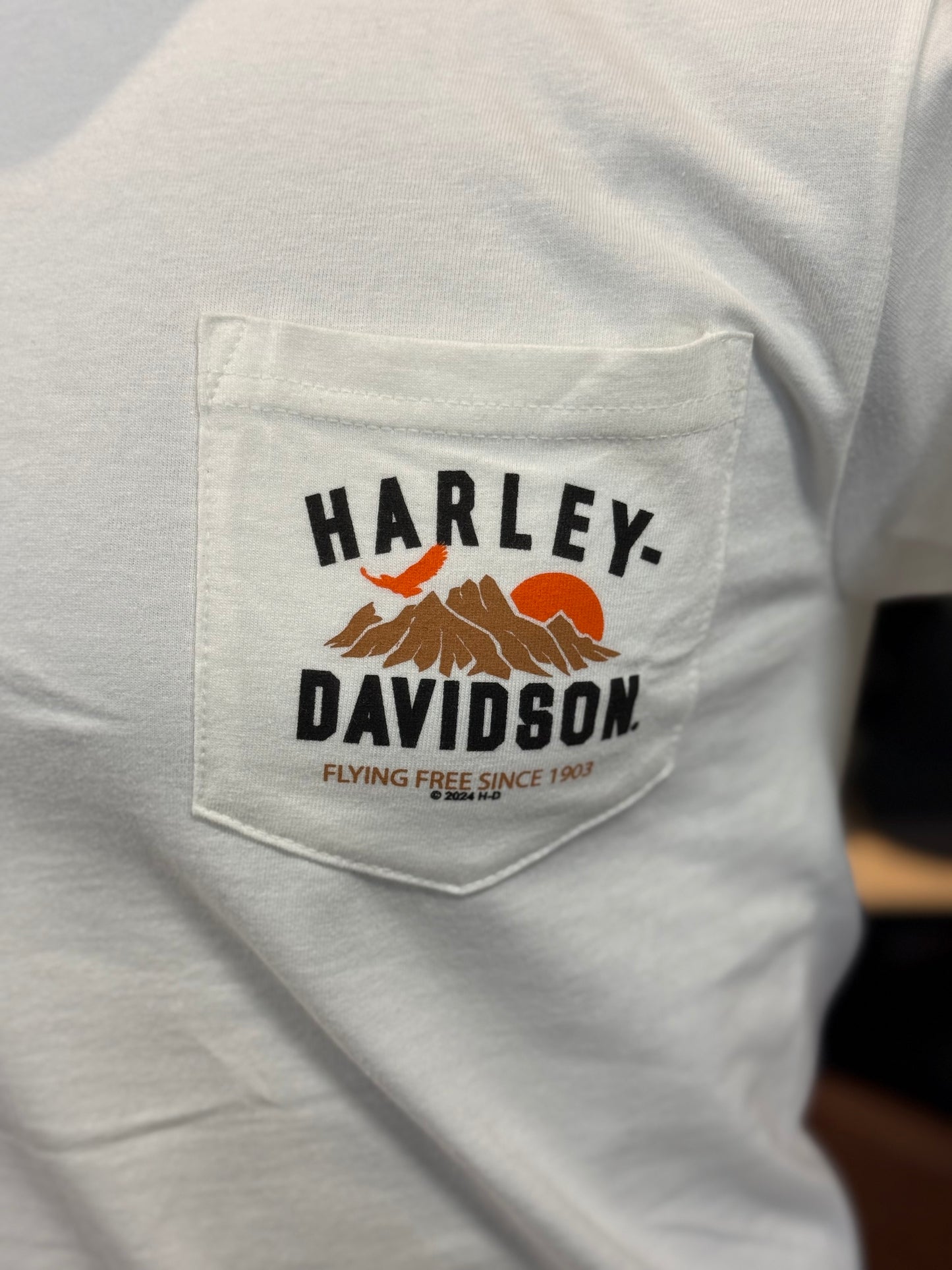 Dealer Short Sleeve Flying Free Tee
