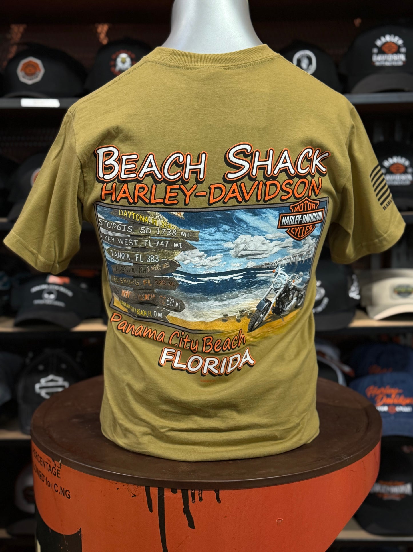 Beach Shack Men's Freedom Eagle Short Sleeve