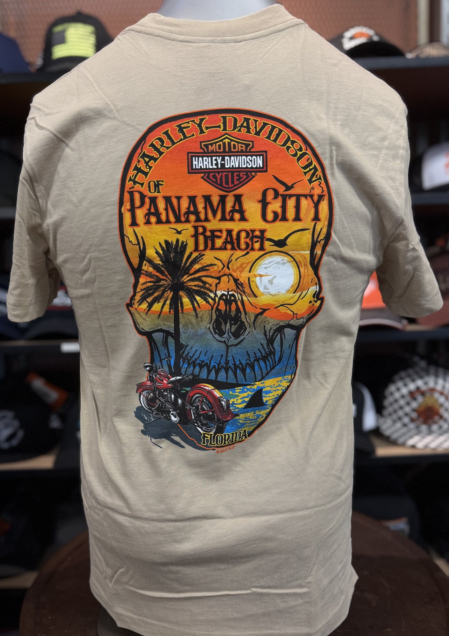 Dealer Skull Sunset Tee in White Pepper