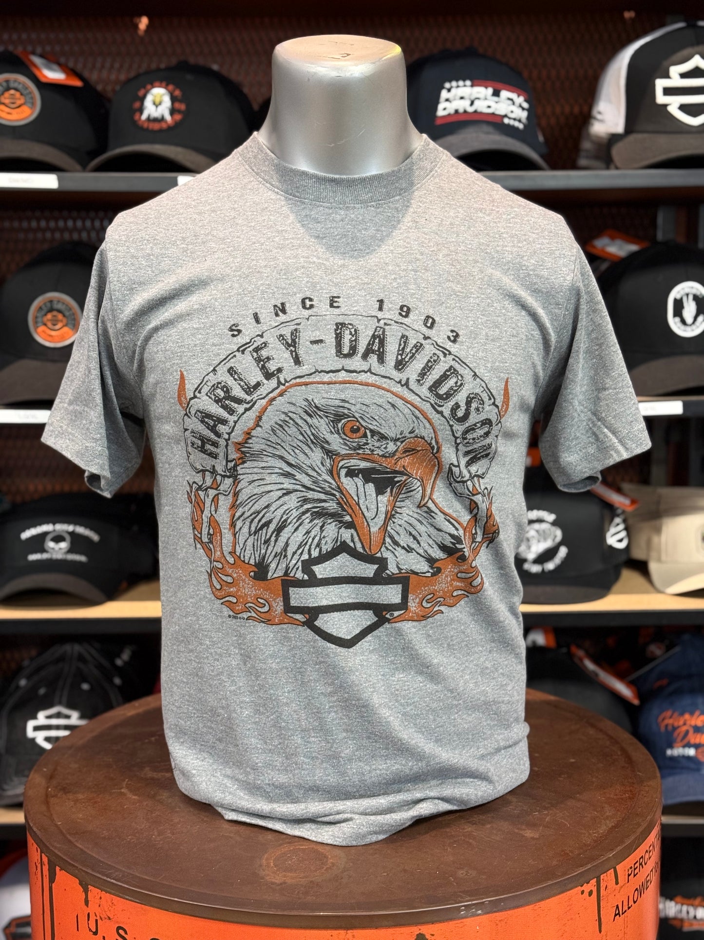 Beach Shack Short Sleeve Banner Eagle Tee