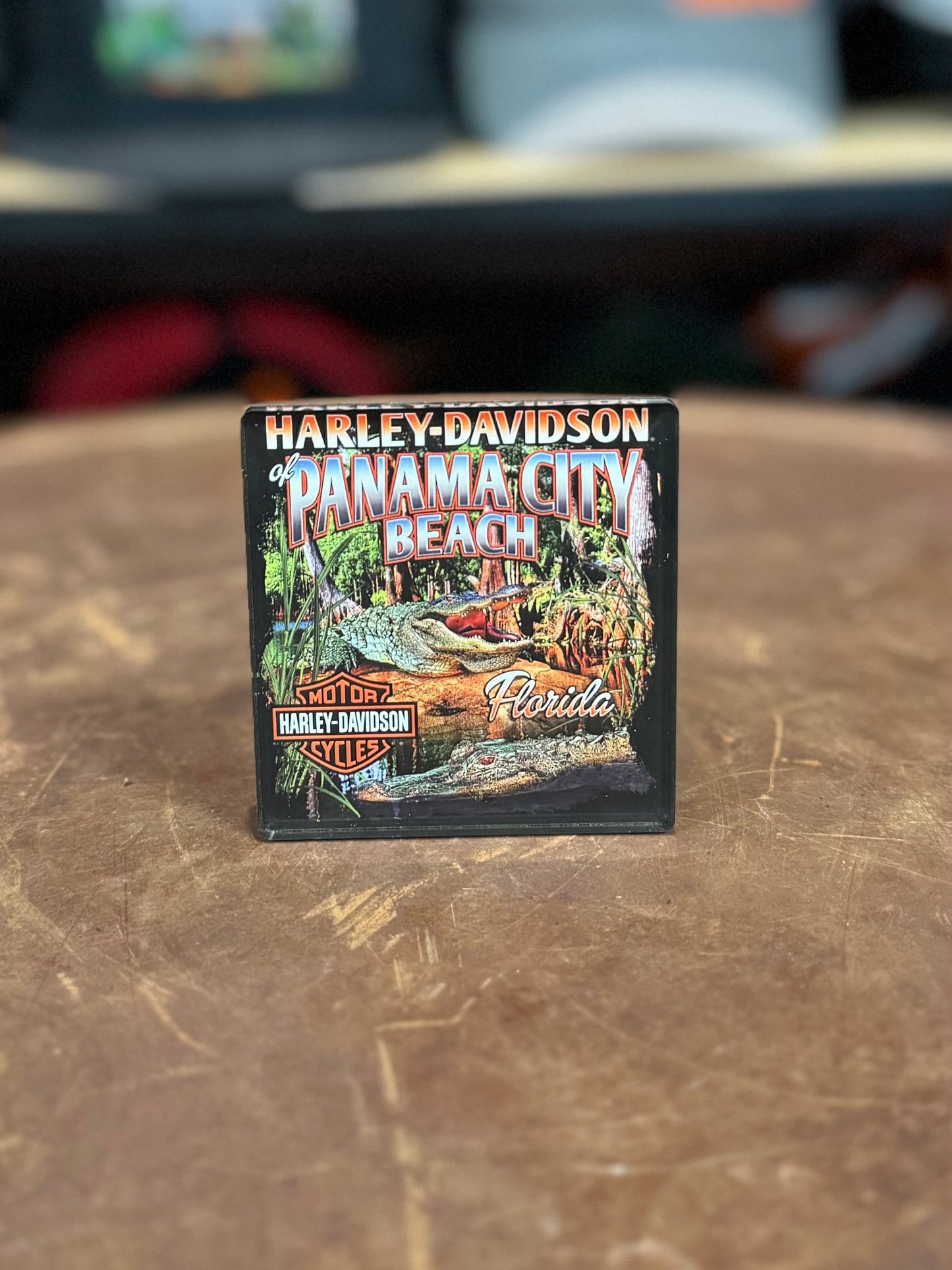 HD Dealer Everglades 3" Magnet