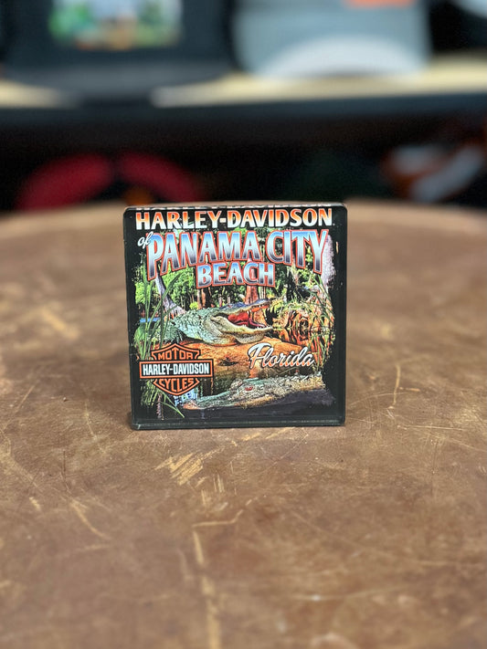 HD Dealer Everglades 3" Magnet