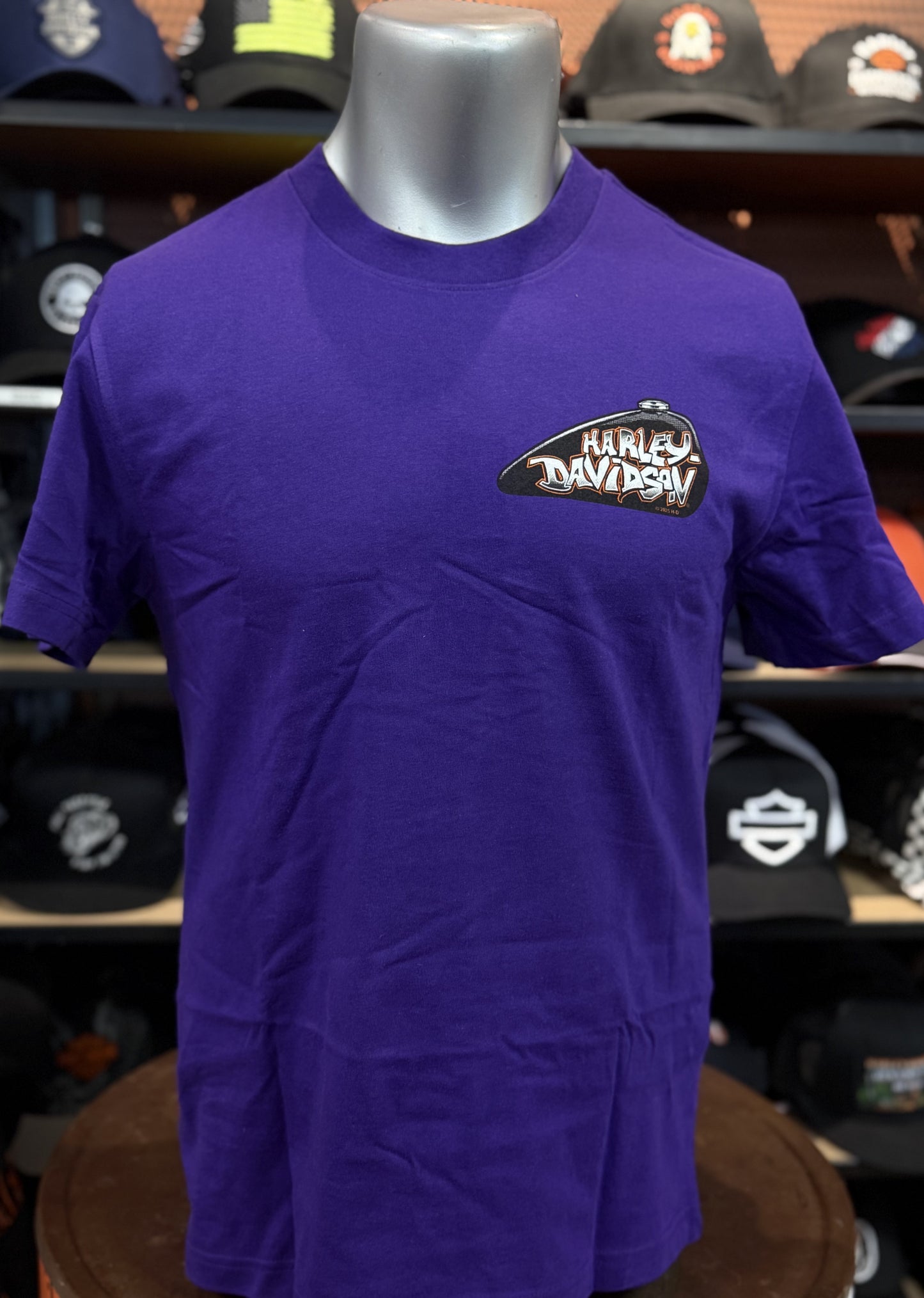 Beach Shack Skull Cap Tee in Violet Indigo