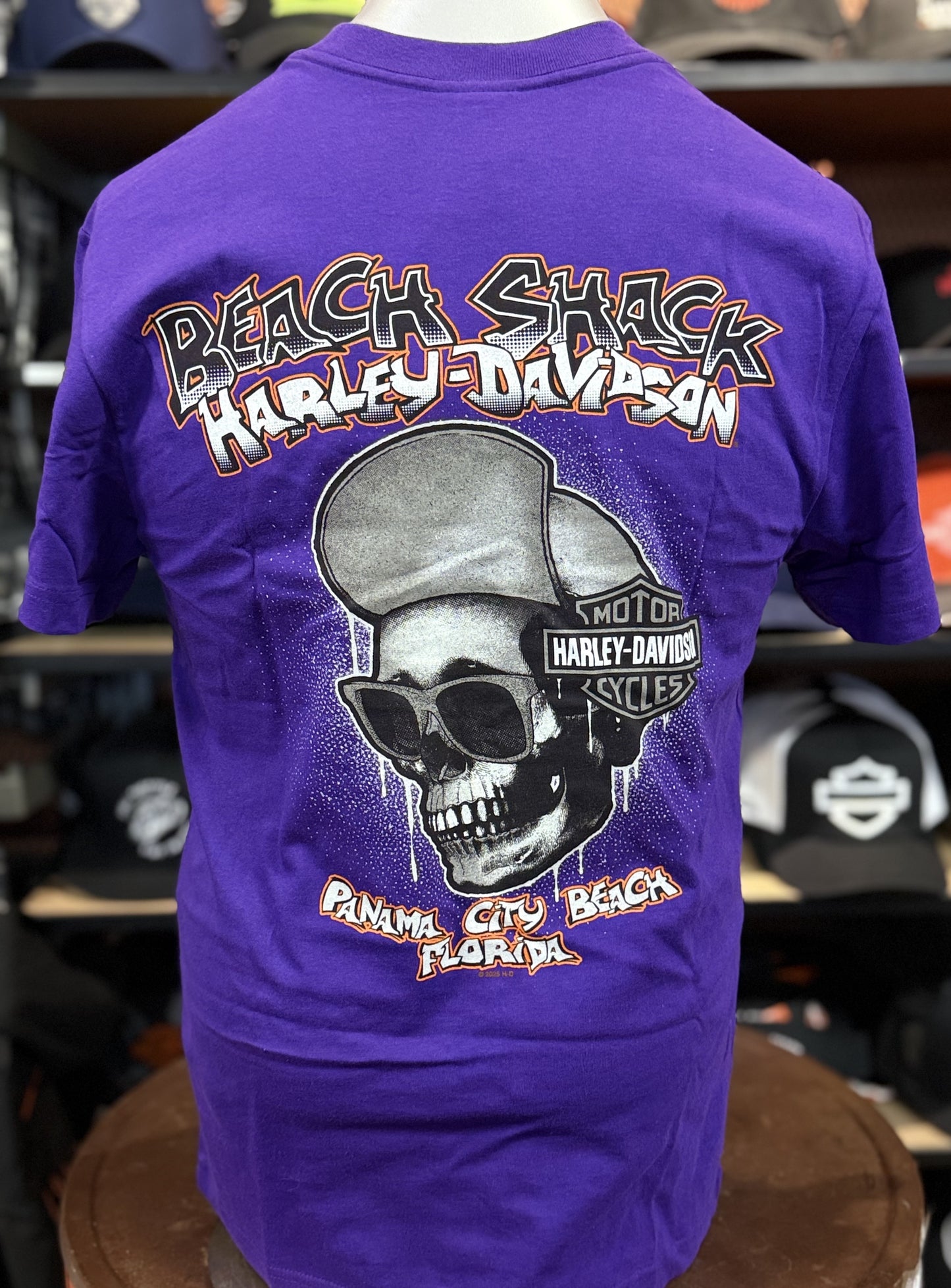 Beach Shack Skull Cap Tee in Violet Indigo