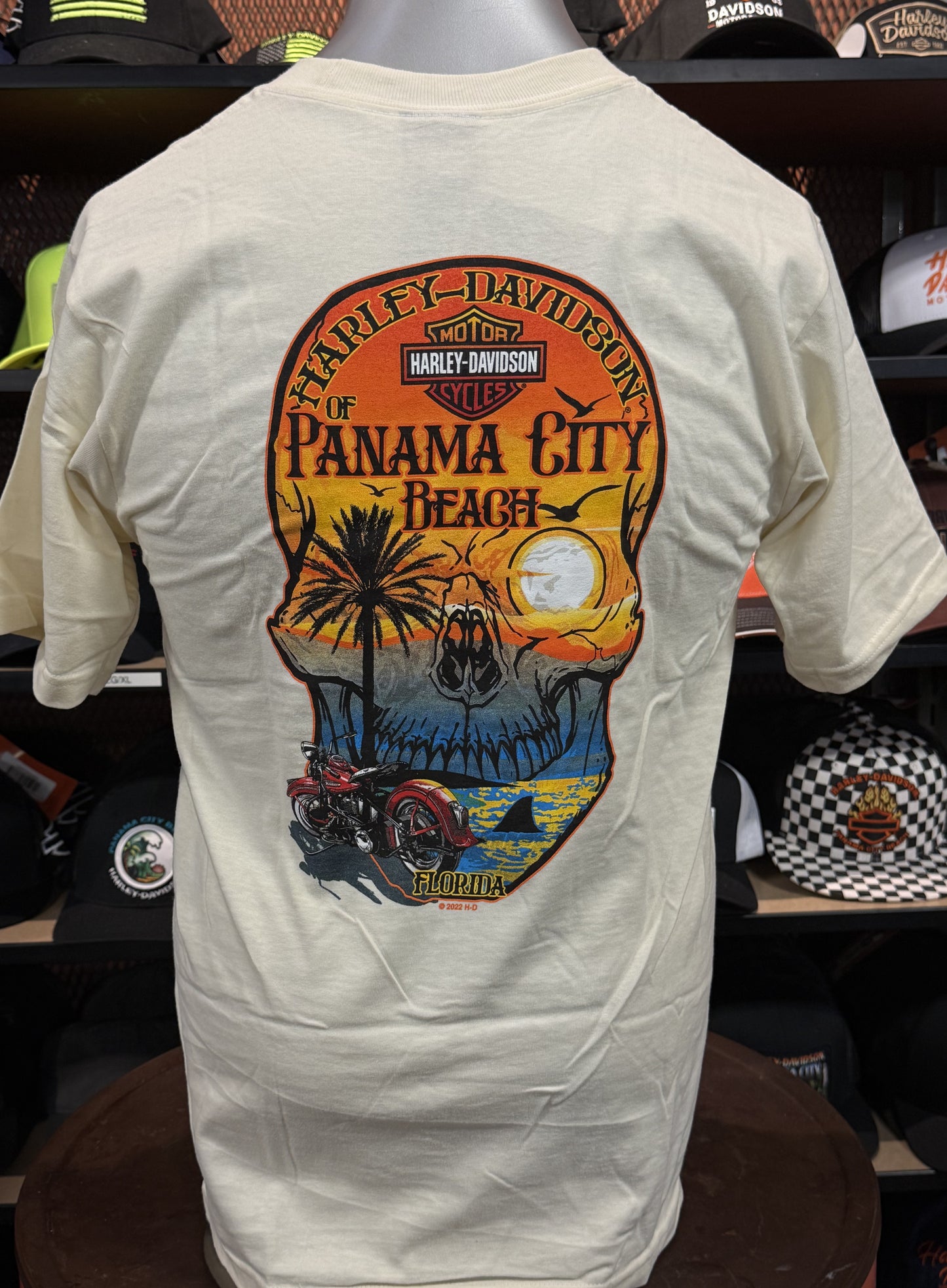 Dealer Skull Sunset Tee in Antique White