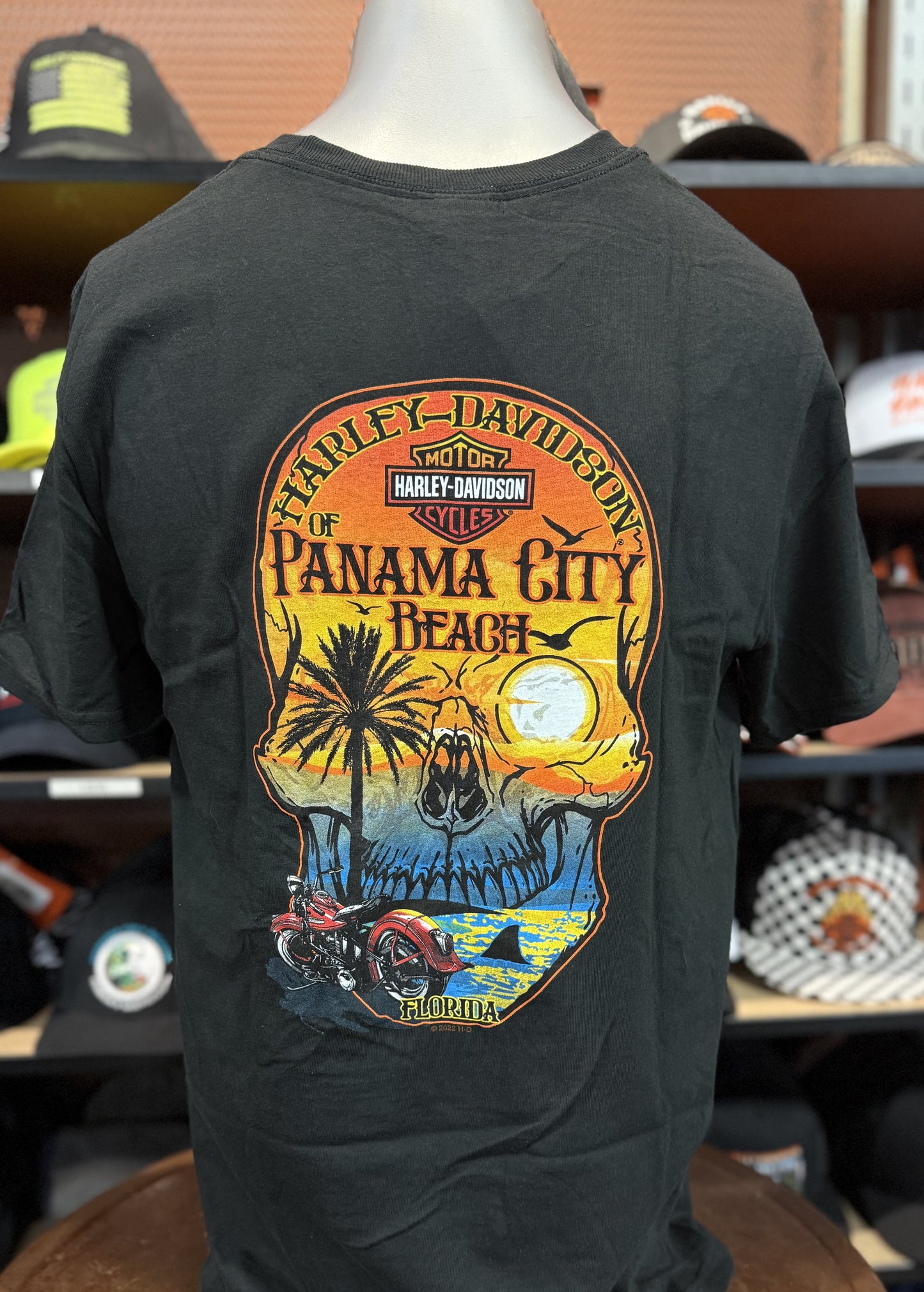 Dealer Skull Sunset Tee in Black Beauty