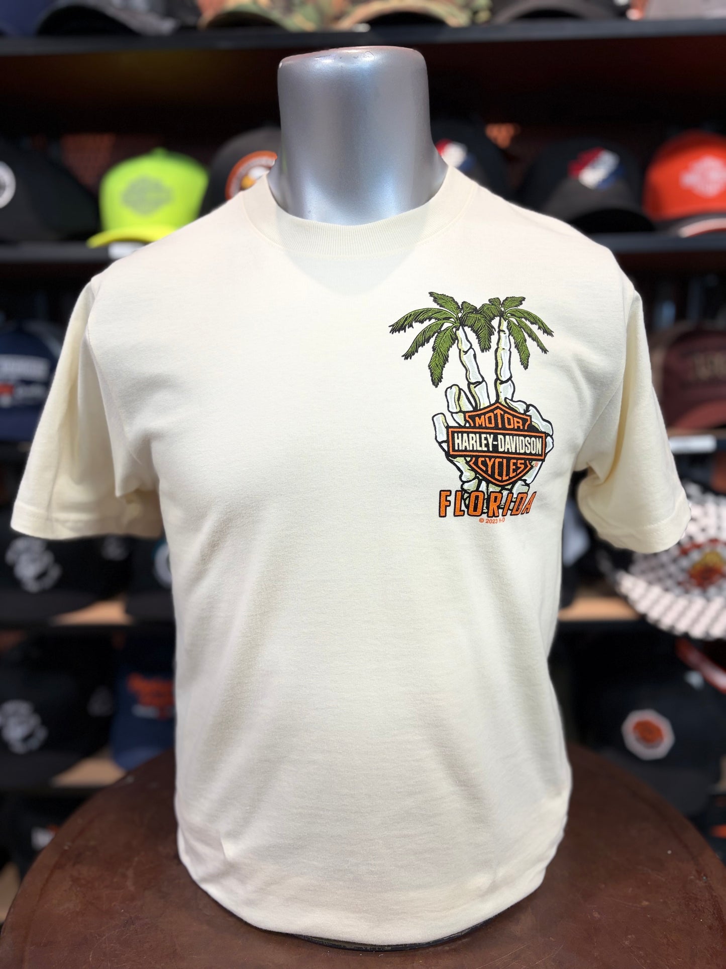 Dealer Men's Wave Skull Short Sleeve in Antique White